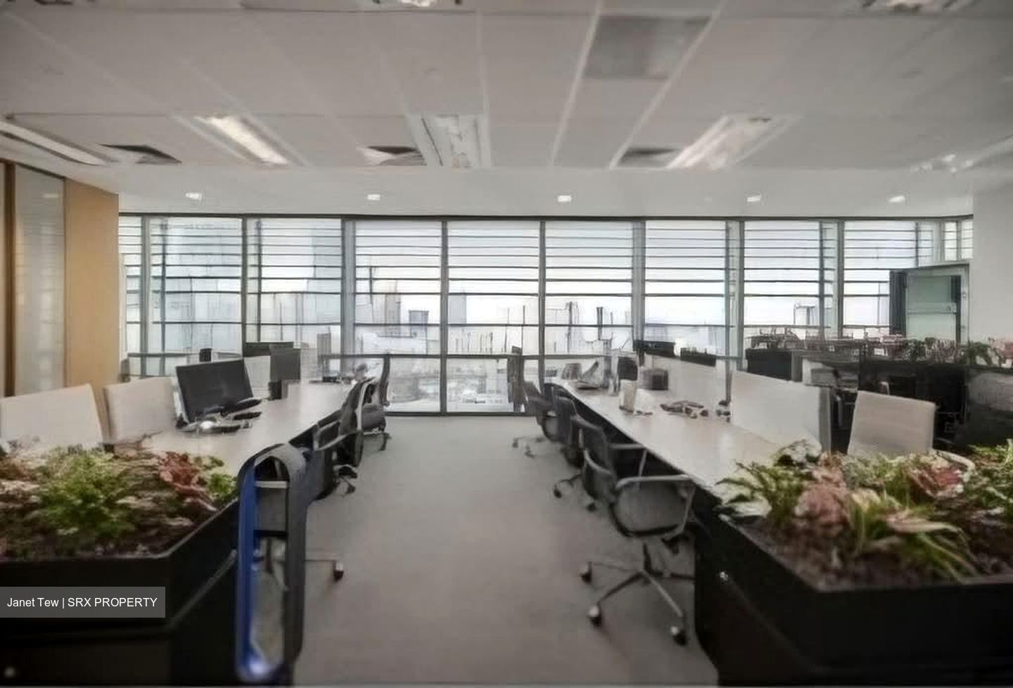ONE GEORGE STREET (D1), Office #592843351